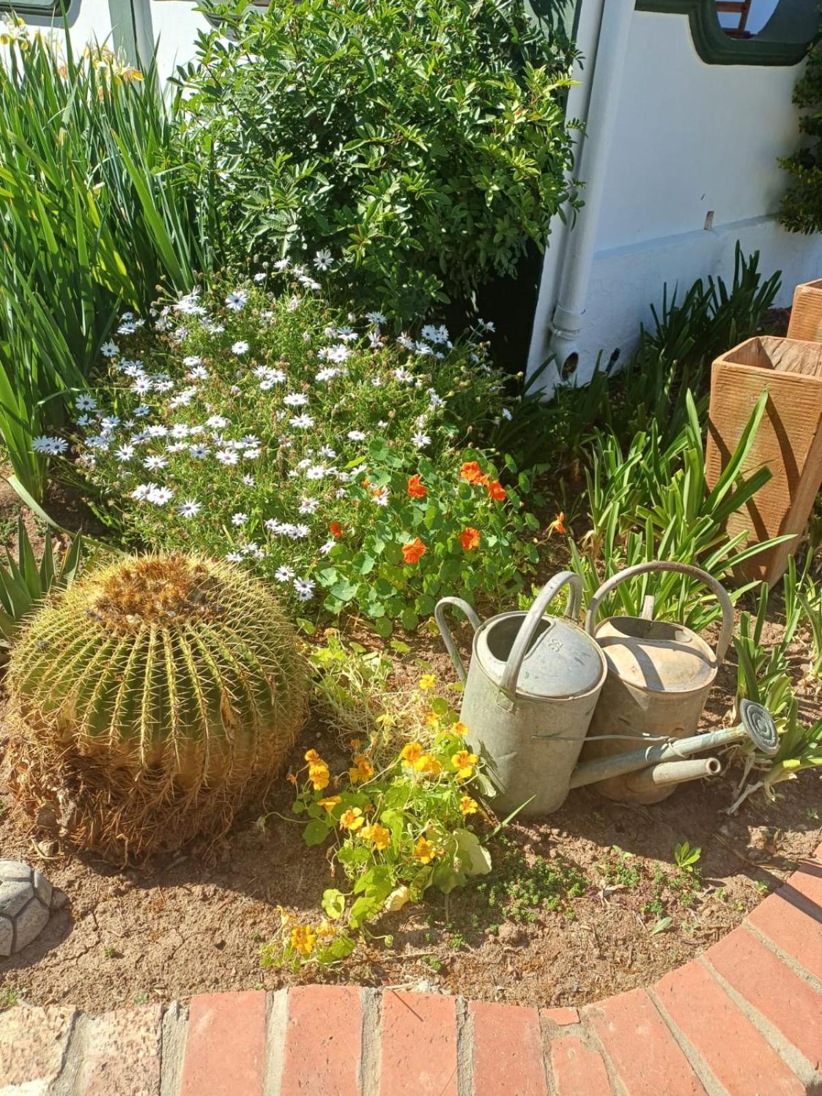 Bed and Breakfast De Oude Yotclub Oudtshoorn Esterno foto