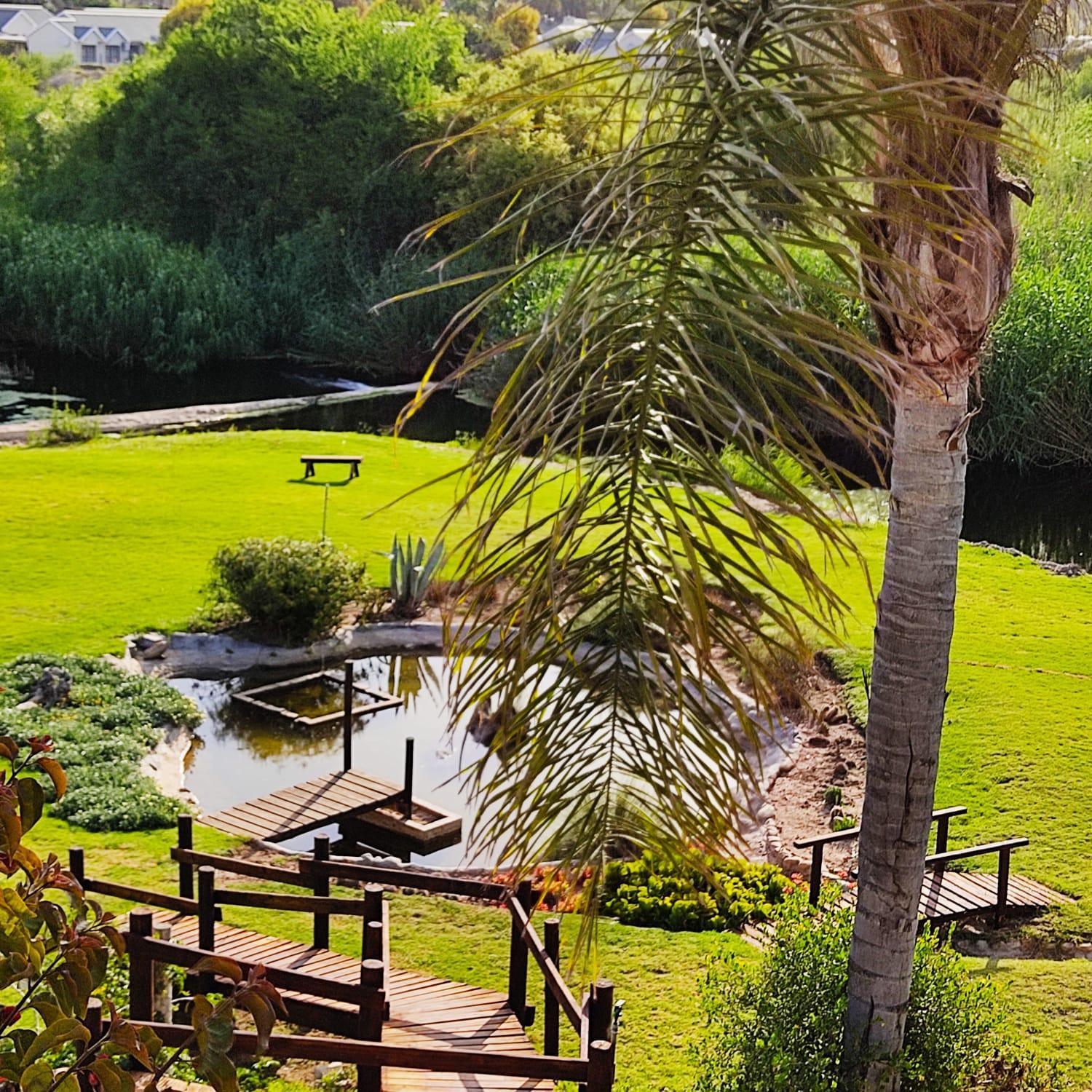 Bed and Breakfast De Oude Yotclub Oudtshoorn Esterno foto